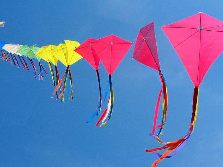 Go Fly a Kite! May 2nd