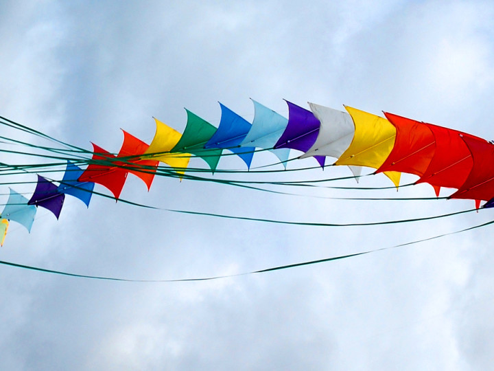 Milford Living’s 12th Annual Kite Fly!