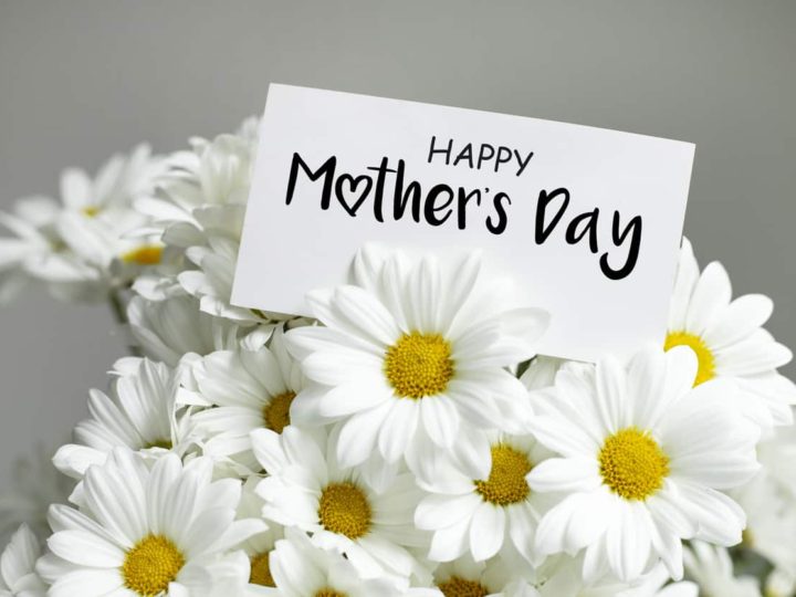 10 Mother’s Day Milford activities to share with the mothers in your life!