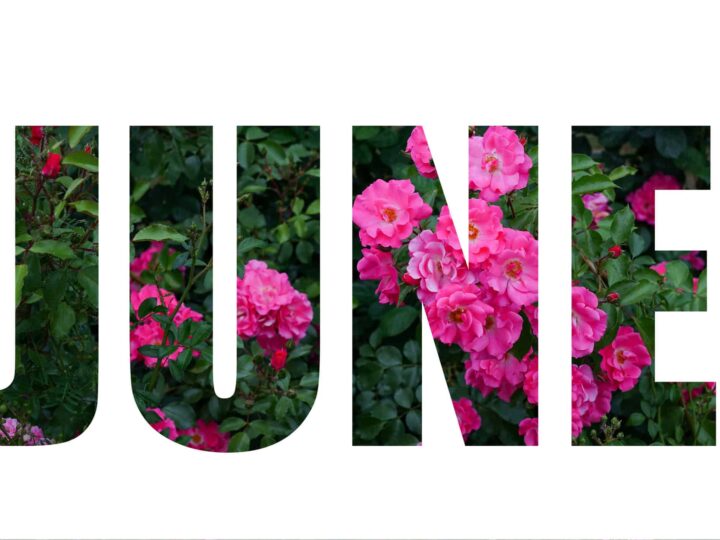 June Calendar of Events